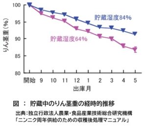 貯蔵中ニンニクのりん茎重の経時的変化